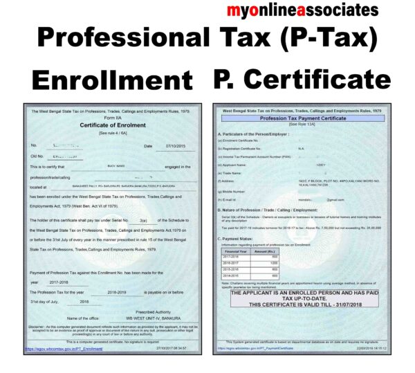 Professional Tax Certificate Fee (P-Tax) - Except Govt. fee.